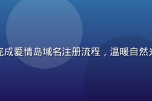 用户在笔记本电脑前顺利完成爱情岛域名注册流程，温暖自然光线，轻松愉快的使用场景